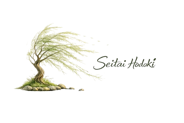 Logo Seitai Hodoki